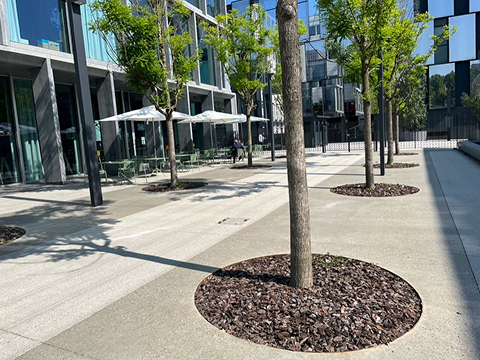 Completed work photo by InfilTracer